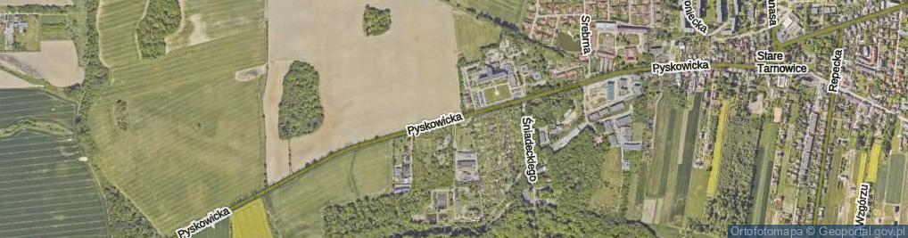 Zdjęcie satelitarne Pyskowicka ul.